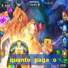 quanto paga o jungle fight